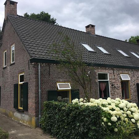 Vakantiehuis In Het Voorhuis Dommelen Екстериор снимка