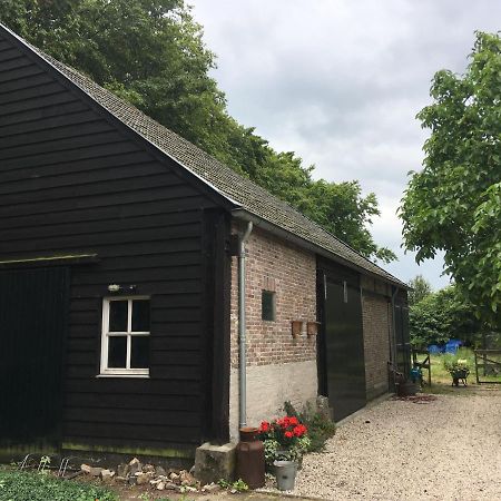 Vakantiehuis In Het Voorhuis Dommelen Екстериор снимка