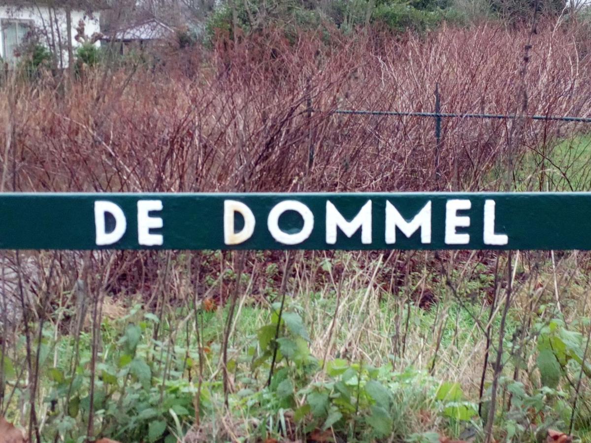 Vakantiehuis In Het Voorhuis Dommelen Екстериор снимка